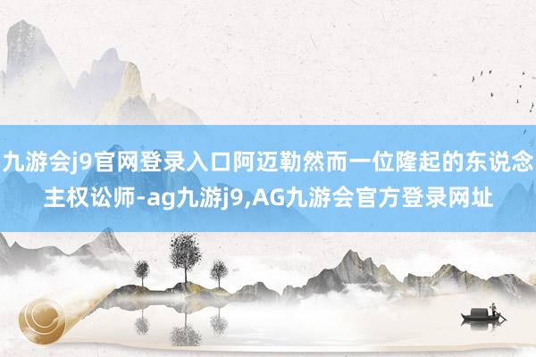 九游会j9官网登录入口阿迈勒然而一位隆起的东说念主权讼师-ag九游j9,AG九游会官方登录网址
