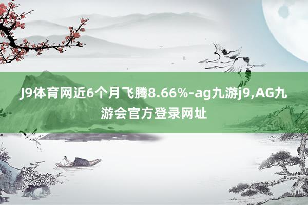 J9体育网近6个月飞腾8.66%-ag九游j9,AG九游会官方登录网址