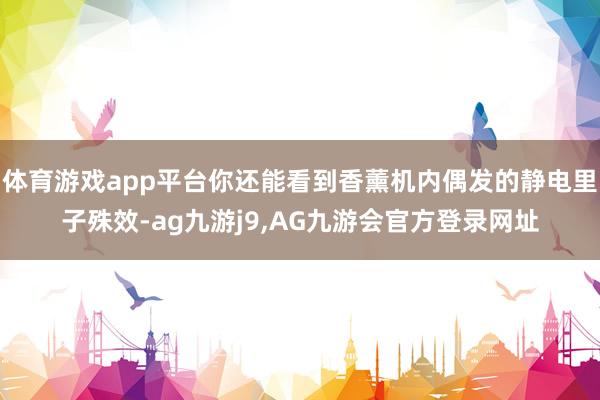 体育游戏app平台你还能看到香薰机内偶发的静电里子殊效-ag九游j9,AG九游会官方登录网址