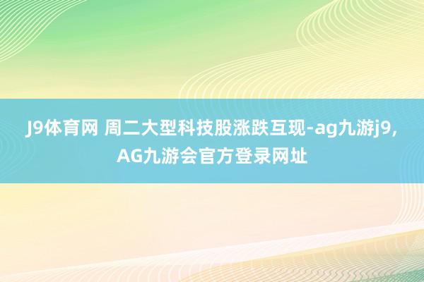 J9体育网 　　周二大型科技股涨跌互现-ag九游j9,AG九游会官方登录网址