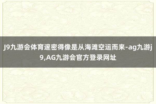 J9九游会体育邃密得像是从海滩空运而来-ag九游j9,AG九游会官方登录网址