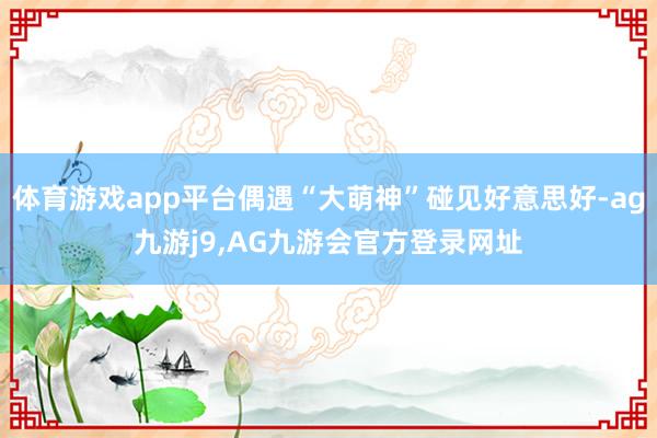 体育游戏app平台偶遇“大萌神”碰见好意思好-ag九游j9,AG九游会官方登录网址